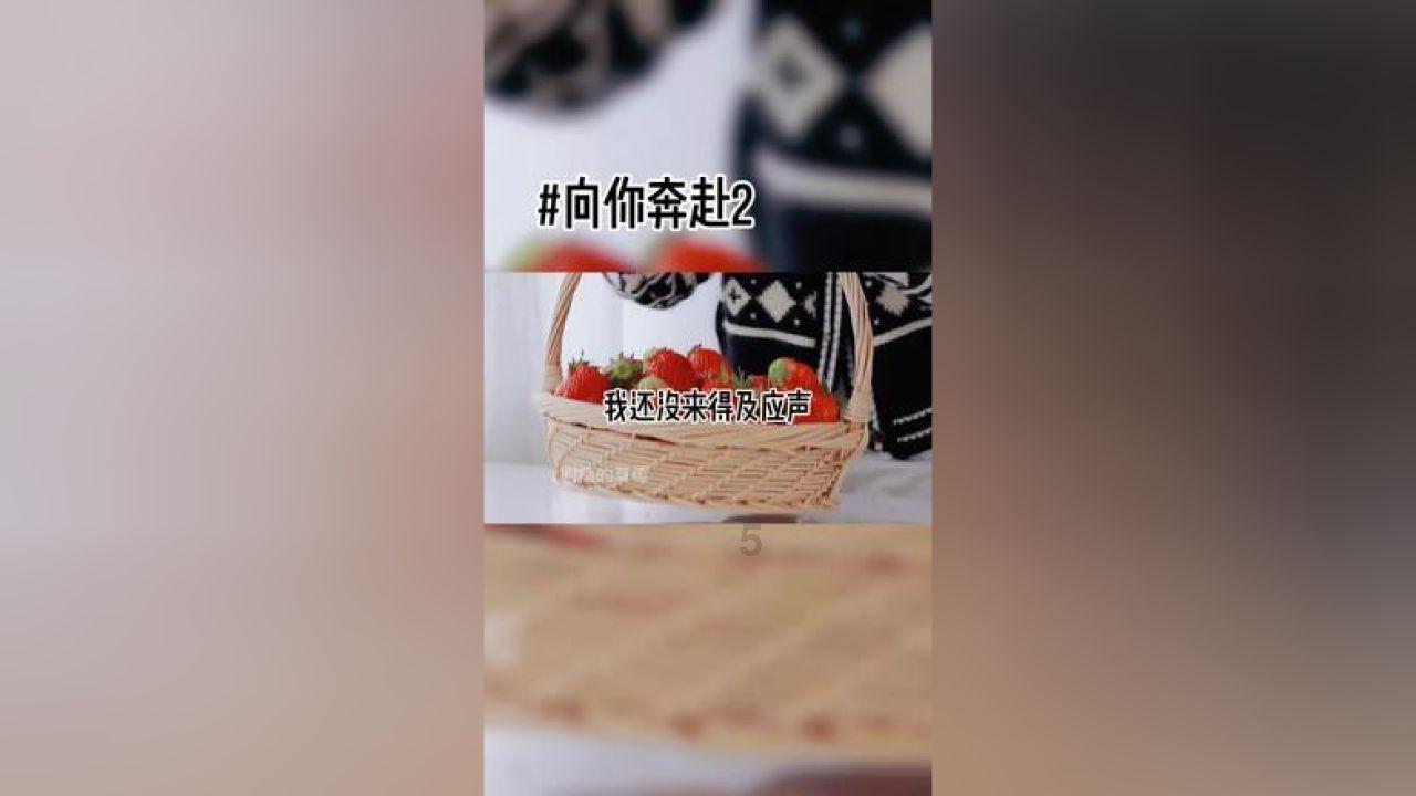 精灵嘉年华