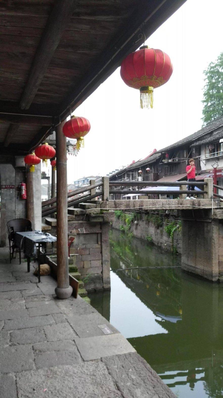组装机械章鱼龙